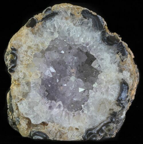 Polished Brazilian Agate Standup - Amethyst Crystals #61925